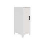 Armoire de rangement à 3 étagères avec porte ventilée de 42,5 po de hauteur