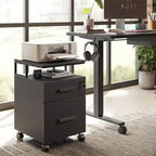 2-Drawer File Cabinet with Lock for Home Office - 17D x 24.3W x 16H
